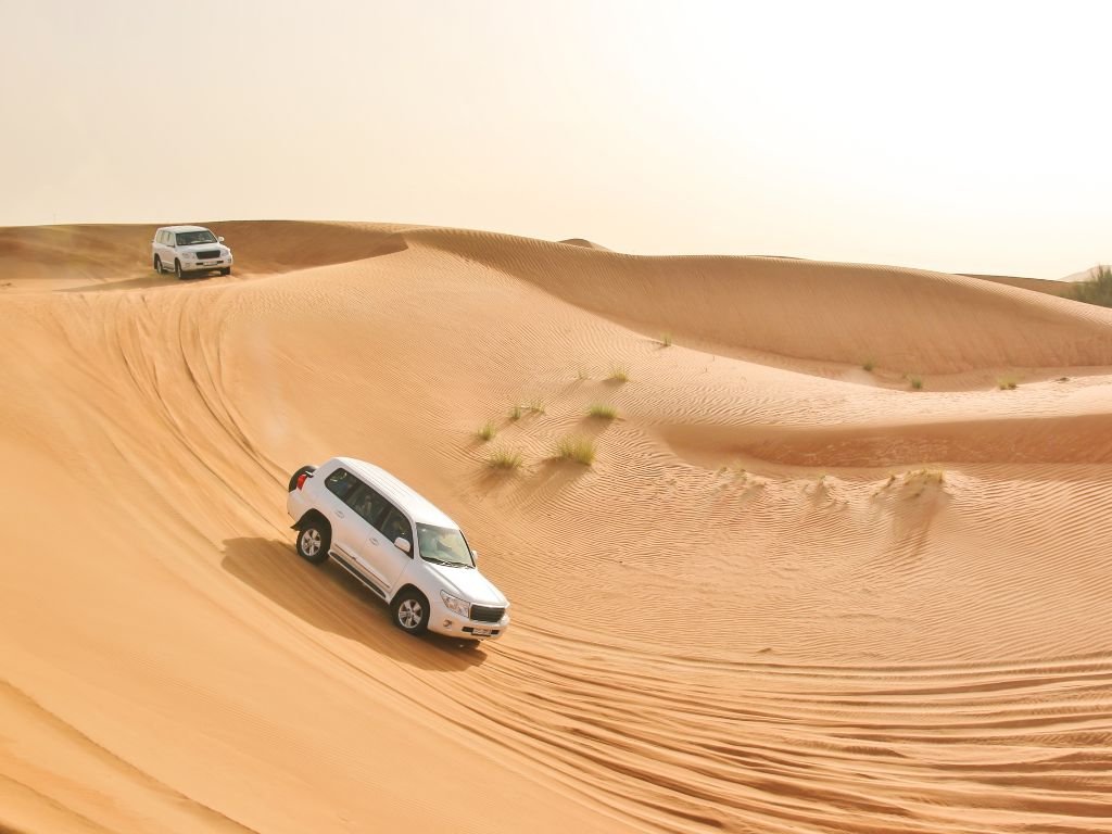 sunrise desert safari